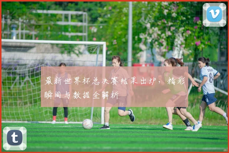 最新世界杯总决赛结果出炉，精彩瞬间与数据全解析