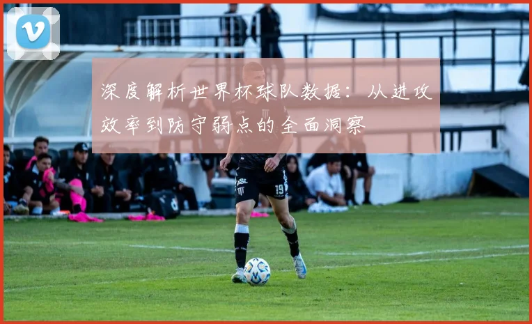 深度解析世界杯球队数据：从进攻效率到防守弱点的全面洞察