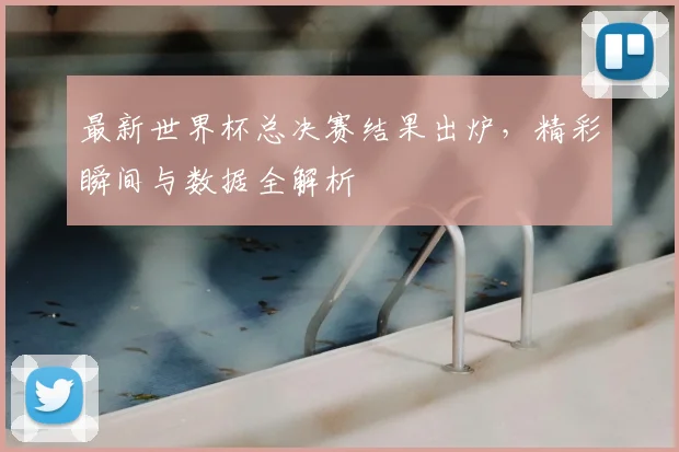 最新世界杯总决赛结果出炉，精彩瞬间与数据全解析
